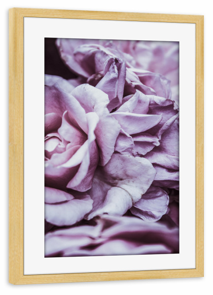 Poster mit Rahmen kiefer "Rosa Blütenblätter I" artboxONE - Natur,Floral,Für Mama
