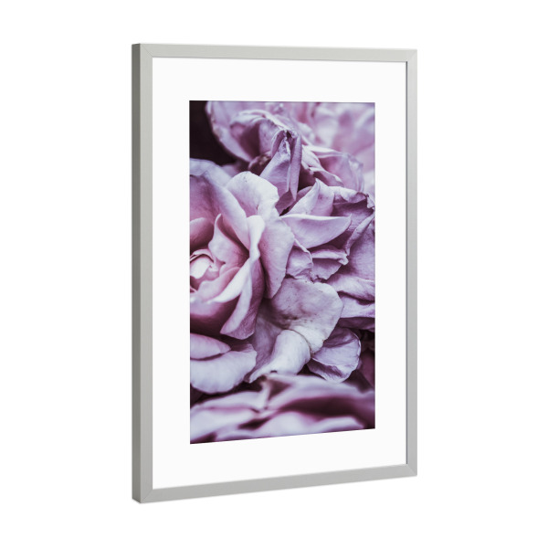 Poster mit Rahmen Silber "Rosa Blütenblätter I" artboxONE - Natur,Floral,Für Mama