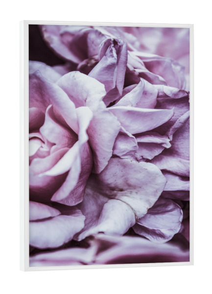 Poster mit weißem Rahmen "Rosa Blütenblätter I" artboxONE - Natur,Floral,Für Mama