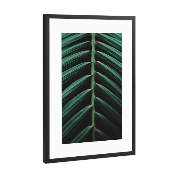 Poster mit Rahmen Schwarz (Metallic) "Grüne Palme" artboxONE - Natur,Floral,Reise / Strand und Meer