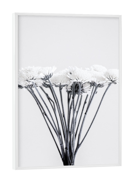 Poster mit weißem Rahmen "Weiße Blumen" artboxONE - Natur,Floral