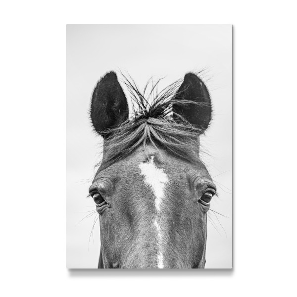 Galerie-Print "Dunkles Pferd I" 30x20 cm artboxONE