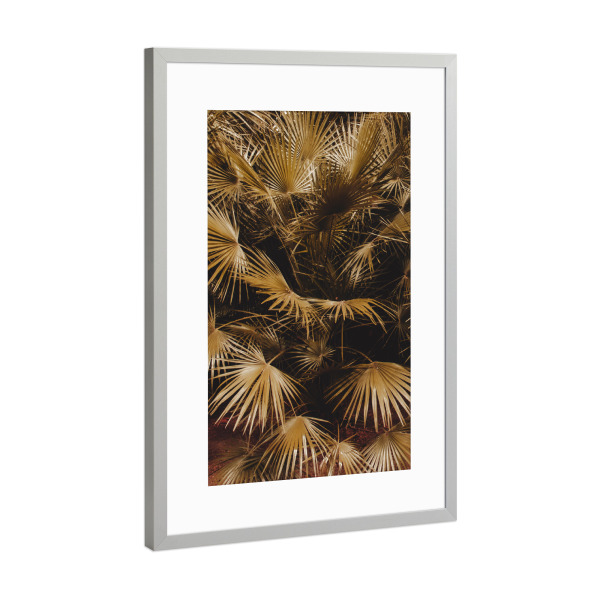Poster mit Rahmen Silber "Goldener Palmblattstrauch" artboxONE - Natur,Reise,Reise / Strand und Meer