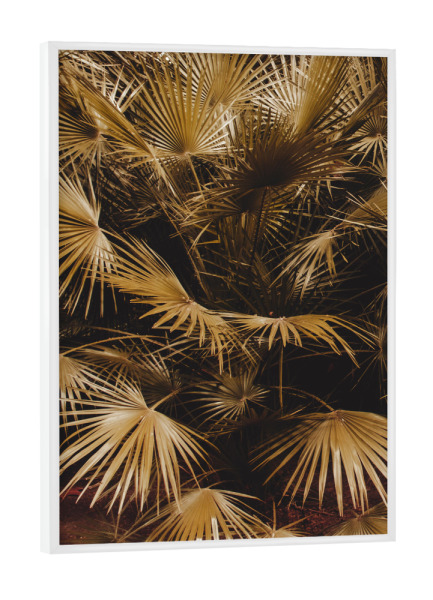 Poster mit weißem Rahmen "Goldener Palmblattstrauch" artboxONE - Natur,Reise,Reise / Strand und Meer