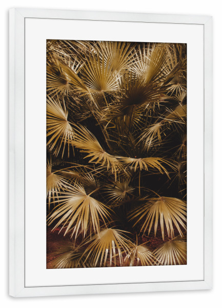 Poster mit Rahmen weiß "Goldener Palmblattstrauch" artboxONE - Natur,Reise,Reise / Strand und Meer