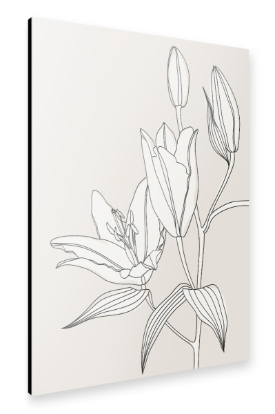 Alu-Dibond "Line-Art-Lilien in Beige" 30x20 cm artboxONE
