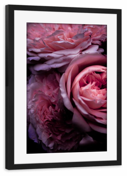 Poster mit Rahmen schwarz "Vintage rosa Blütenblätter I" artboxONE - Natur,Floral,Für Mama