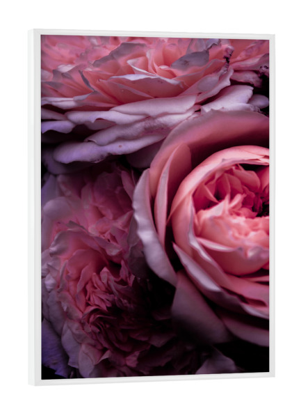 Poster mit weißem Rahmen "Vintage rosa Blütenblätter I" artboxONE - Natur,Floral,Für Mama