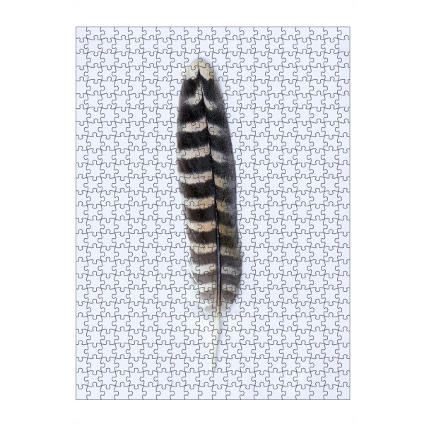 artboxONE Puzzle "Geisterfeder" artboxONE - Natur,Tiere
