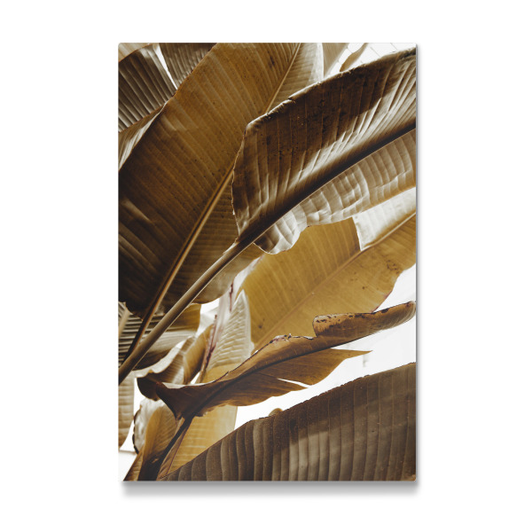 Galerie-Print "Goldene Palmblätter" 30x20 cm artboxONE