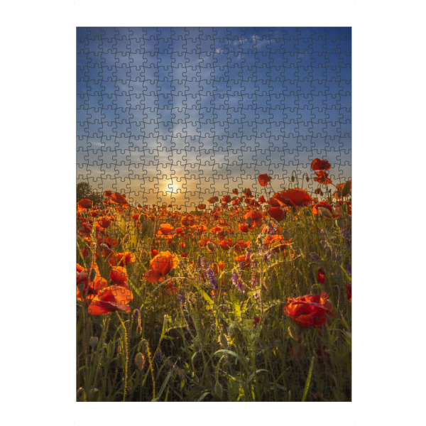 Puzzle Ravensburger "Herrlicher Mohn-Sonnenuntergang" artboxONE - Natur,Floral
