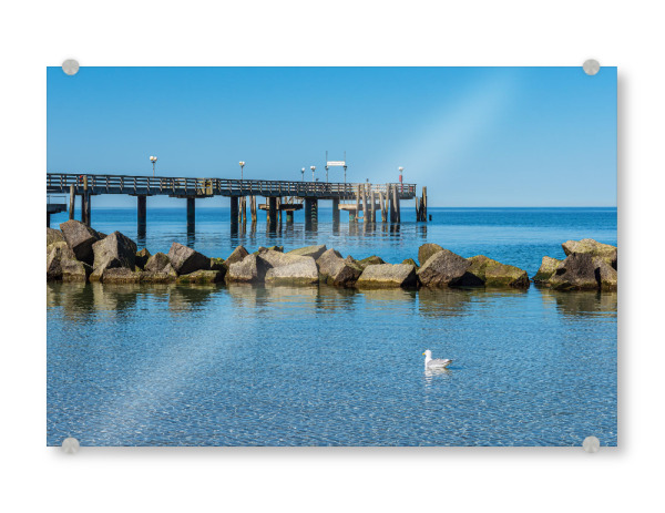 Acrylglasbild "Möwe, Seebrücke, Ostsee" artboxONE - Natur,Reise,Tiere,Architektur,Reise / Strand und Meer