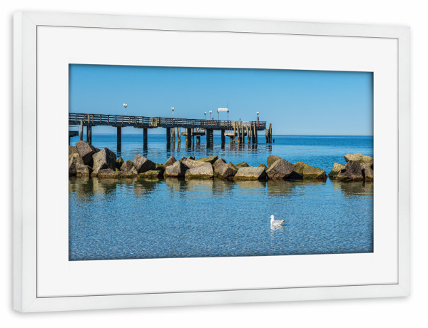 Poster mit Rahmen weiß "Möwe, Seebrücke, Ostsee" artboxONE - Natur,Reise,Tiere,Architektur,Reise / Strand und Meer