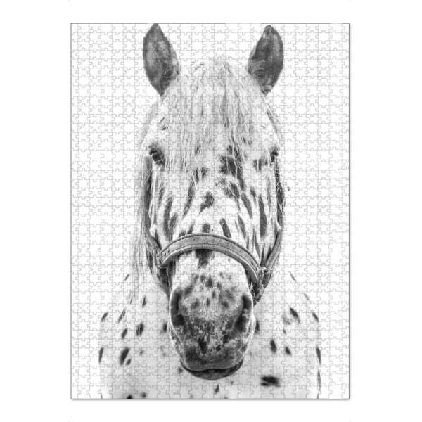 Puzzle Ravensburger "Schwarz-weiß geflecktes Pferd" artboxONE - Natur,Tiere