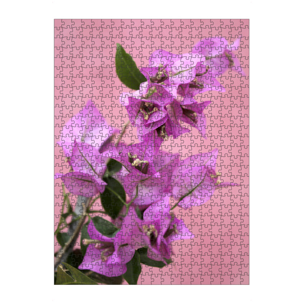 artboxONE Puzzle "Bougainvillea Blüte Pastel Pink" artboxONE - Natur,Reise,Floral
