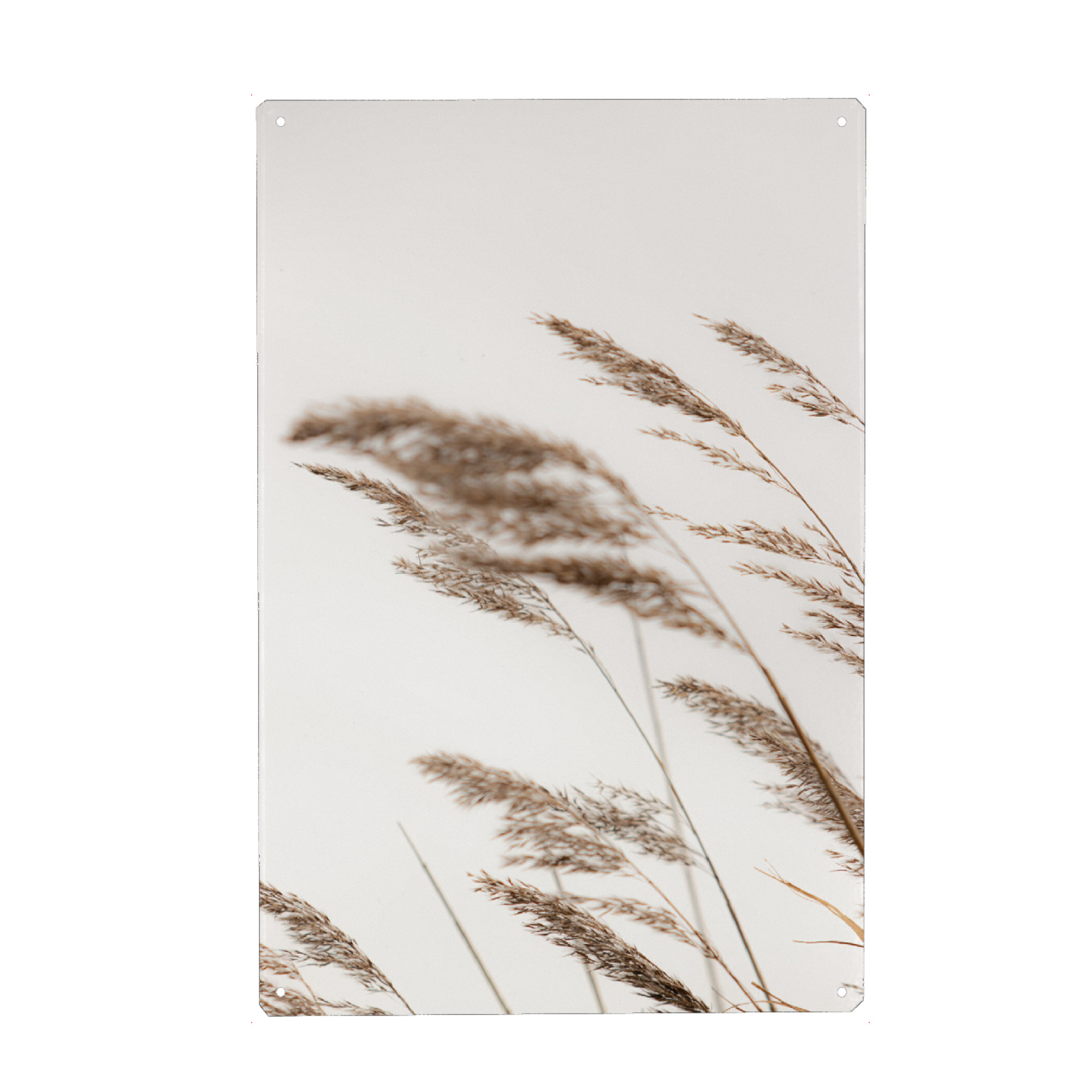 Holzbild "Pampasgras I" artboxONE - Natur,Floral,Für Mama