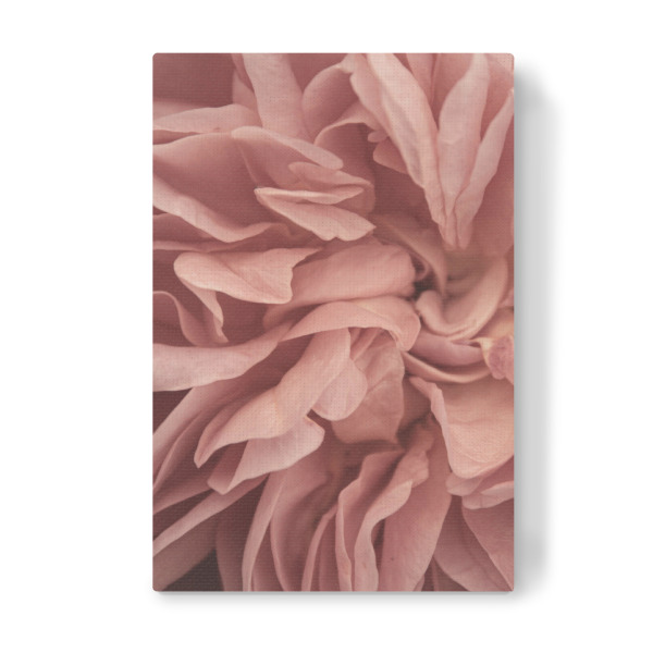 Leinwandbild "Rosa Blütenblattränder" artboxONE - Natur,Floral,Für Mama