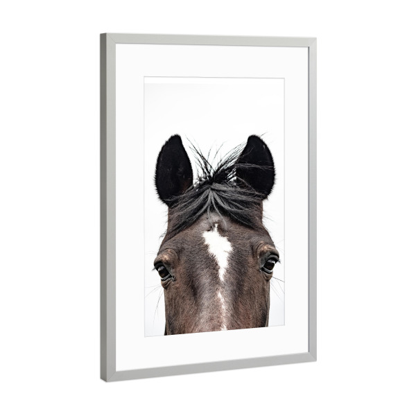 Poster mit Rahmen Silber "Pferdekopf" artboxONE - Natur,Tiere