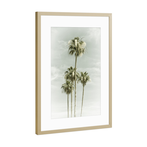 Poster mit Rahmen Gold "Vintage Palmenidylle mit Himmel" artboxONE - Natur,Reise / Strand und Meer