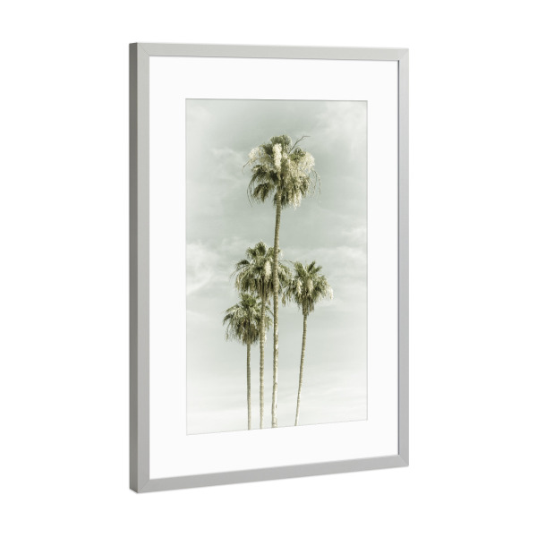 Poster mit Rahmen Silber "Vintage Palmenidylle mit Himmel" artboxONE - Natur,Reise / Strand und Meer