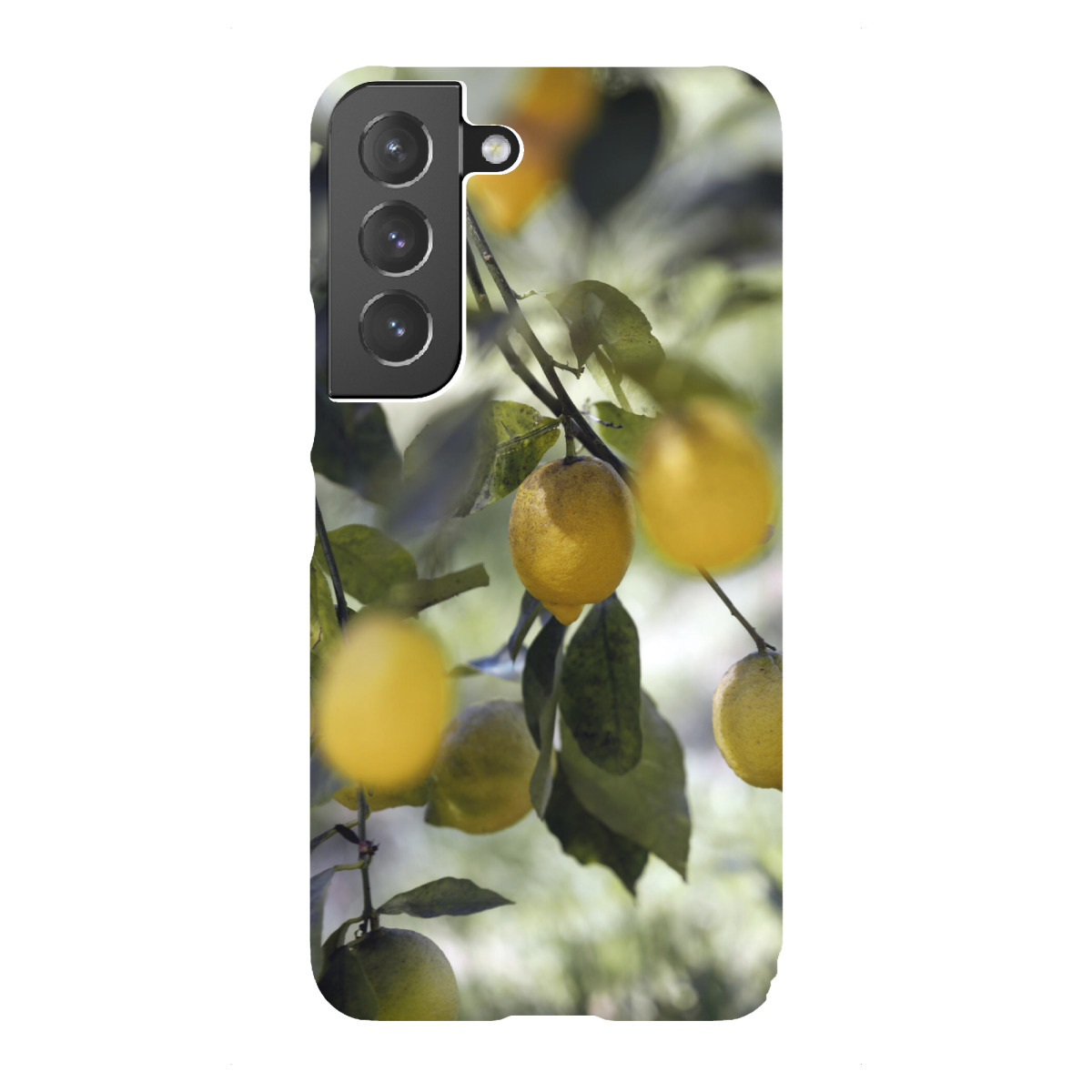 "Gelbe Bio Zitronen"für Samsung Galaxy - Premium-Case Handyhülle artboxONE