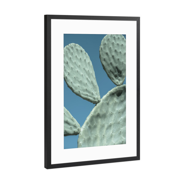 Poster mit Rahmen Schwarz (Metallic) "Dreiköpfiger Kaktus" artboxONE - Natur,Floral,Reise / Strand und Meer