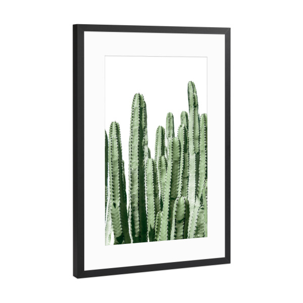 Poster mit Rahmen Schwarz (Metallic) "Green Cacti Fotografie" artboxONE - Natur,Floral,Reise / Strand und Meer