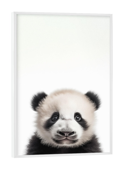 Poster mit weißem Rahmen "Little cute panda bear" artboxONE - Tiere,Schwarzweiß,Lustig