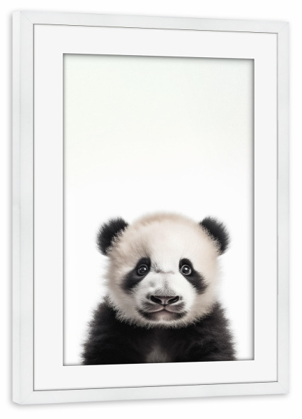 Poster mit Rahmen weiß "Little cute panda bear" artboxONE - Tiere,Schwarzweiß,Lustig