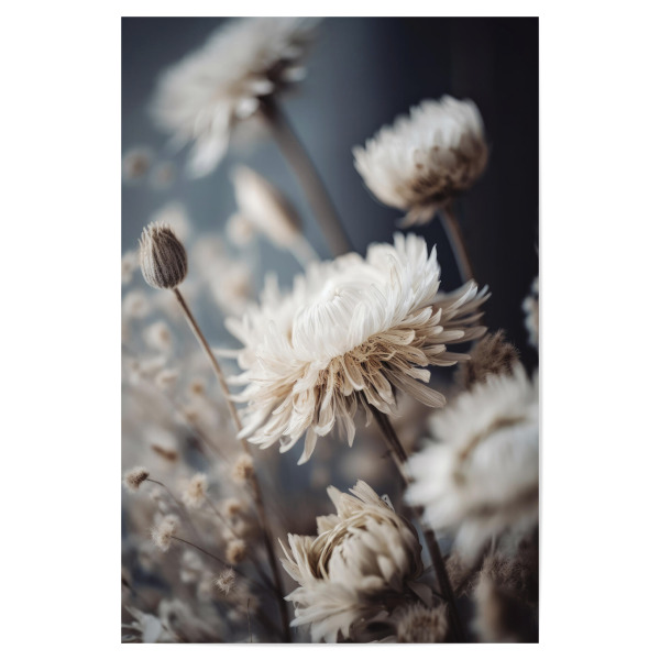 Poster "Dry Pastel Flowers" artboxONE - Natur,Floral,Für Mama - Blume,Blumen,Trockenblume,Natur,Makro,Fotografie,Digitale kunst