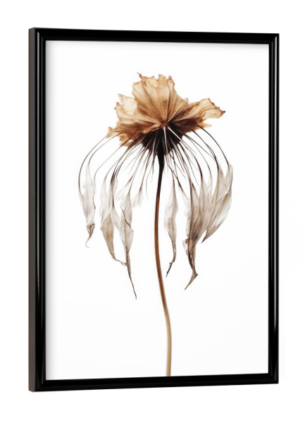Poster mit schwarzem Rahmen "Dry Jellyfish Flower" artboxONE - Floral,Abstrakt,Für Mama