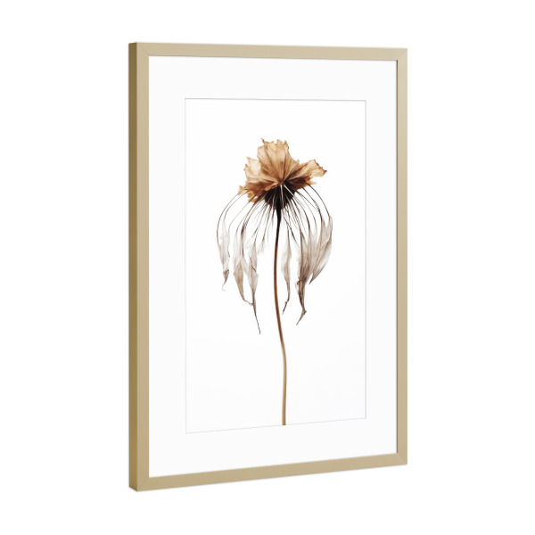 Poster mit Rahmen Gold "Dry Jellyfish Flower" artboxONE - Floral,Abstrakt,Für Mama - Blume,Blumen,Fantasie,Digitale kunst,Fotografie,Trockenblume