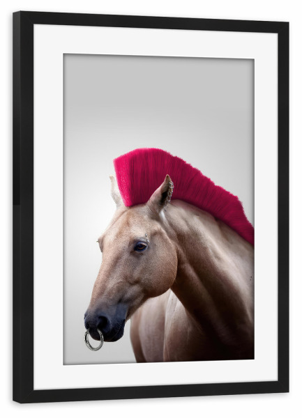 Poster mit Rahmen schwarz "Wild-wildes Pferd" artboxONE - Natur,Tiere,Lustig