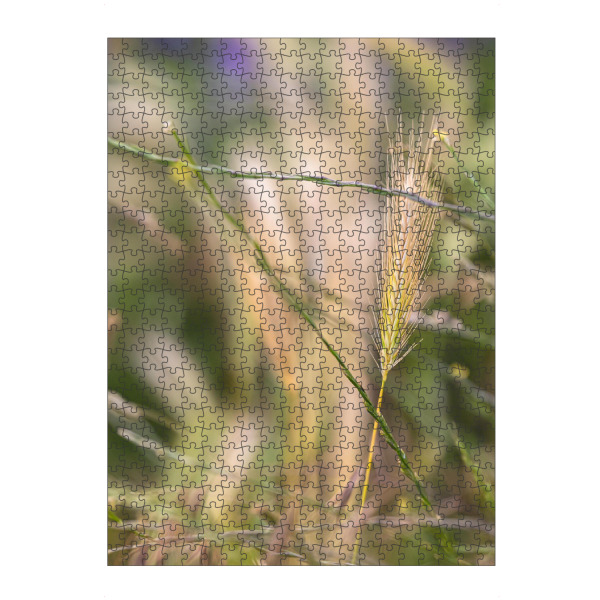 artboxONE Puzzle "Getreide - Bokeh" artboxONE - Natur - Getreide,Natur,Bokeh - Bild getreide
