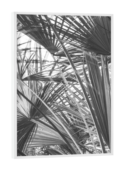 Poster mit weißem Rahmen "Unter den botanischen Palmen" artboxONE - Natur,Floral