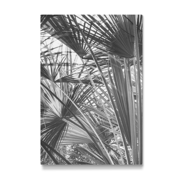 Galerie-Print "Unter den botanischen Palmen" 30x20 cm artboxONE