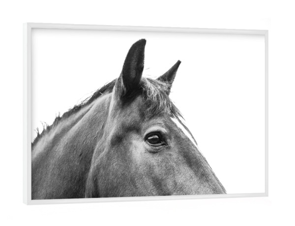 Poster mit weißem Rahmen "Schwarz-weißer Pferdekopf" artboxONE - Natur,Tiere