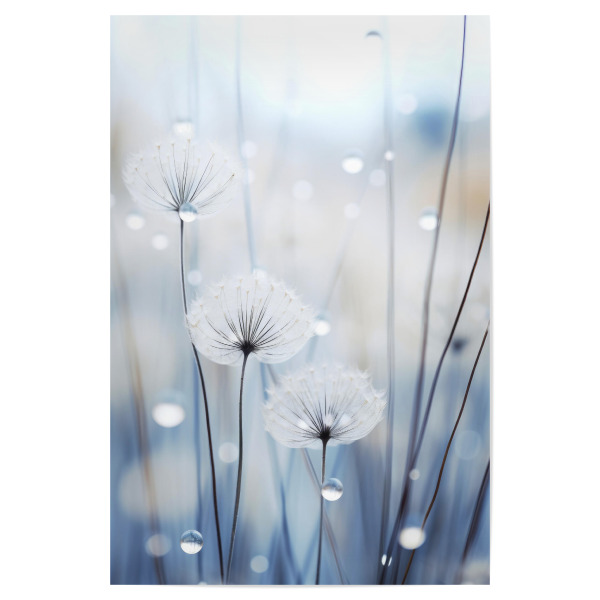 Poster "Big Drops" artboxONE - Natur,Floral,Für Mama - Blume,Blumen,Floral,Natur,Digitale kunst,Fotografie,Pusteblume,Tropfen,Nass,Regen,Treechild