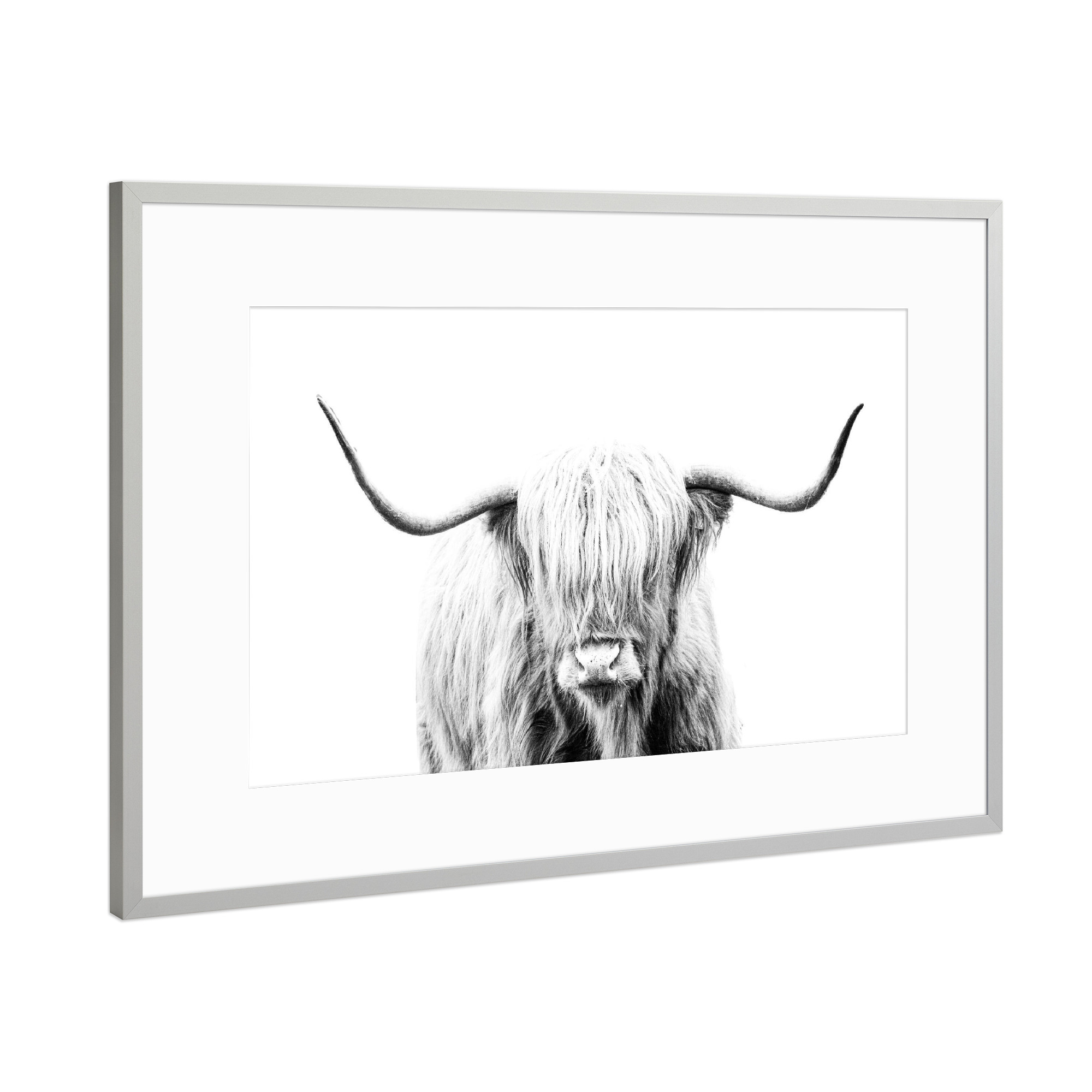 Poster mit Rahmen Silber "Schwarz-weiße Hochlandkuh" artboxONE - Natur,Tiere