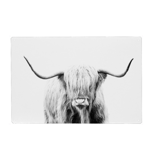 Holzbild "Schwarz-weiße Hochlandkuh" artboxONE - Natur,Tiere