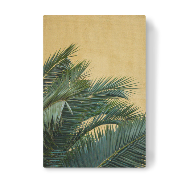 Leinwandbild "Goldene Palmen" artboxONE - Natur,Reise,Reise / Strand und Meer