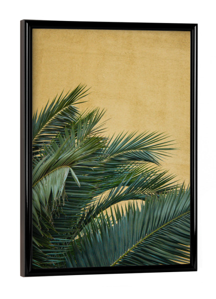 Poster mit schwarzem Rahmen "Goldene Palmen" artboxONE - Natur,Reise,Reise / Strand und Meer
