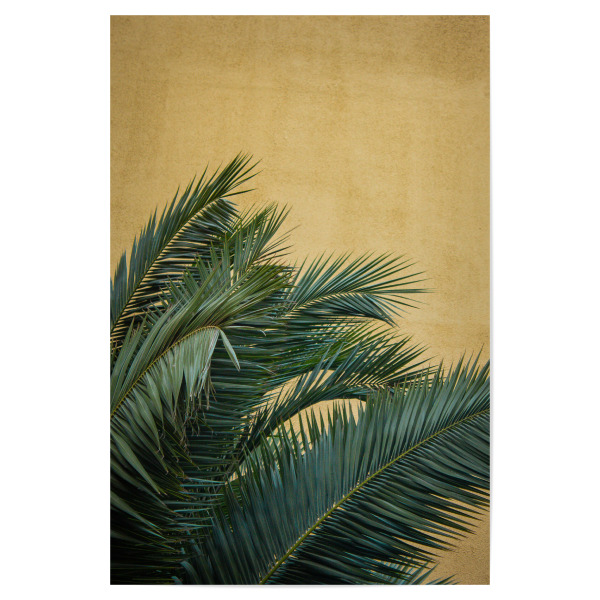 Poster "Goldene Palmen" artboxONE - Natur,Reise,Reise / Strand und Meer