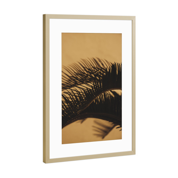 Poster mit Rahmen Gold "Goldene Schattenpalmen" artboxONE - Natur,Reise,Reise / Strand und Meer