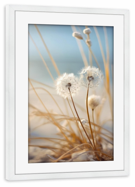 Poster mit Rahmen weiß "Beach Impression Dandelion" artboxONE - Natur,Floral,Für Mama