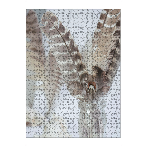 Puzzle Ravensburger "Boho-Federn" artboxONE - Natur,Festivals