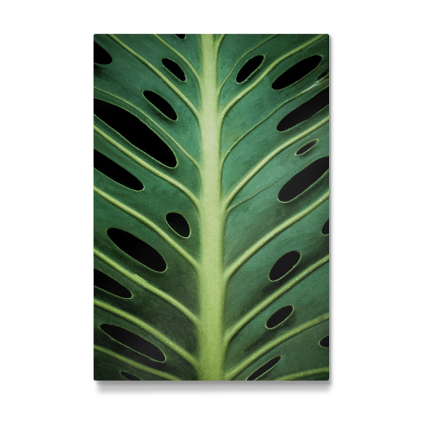 Galerie-Print "Grünes botanisches Blatt" 30x20 cm artboxONE