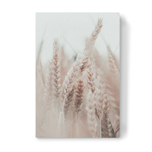 Gräser Boho creme