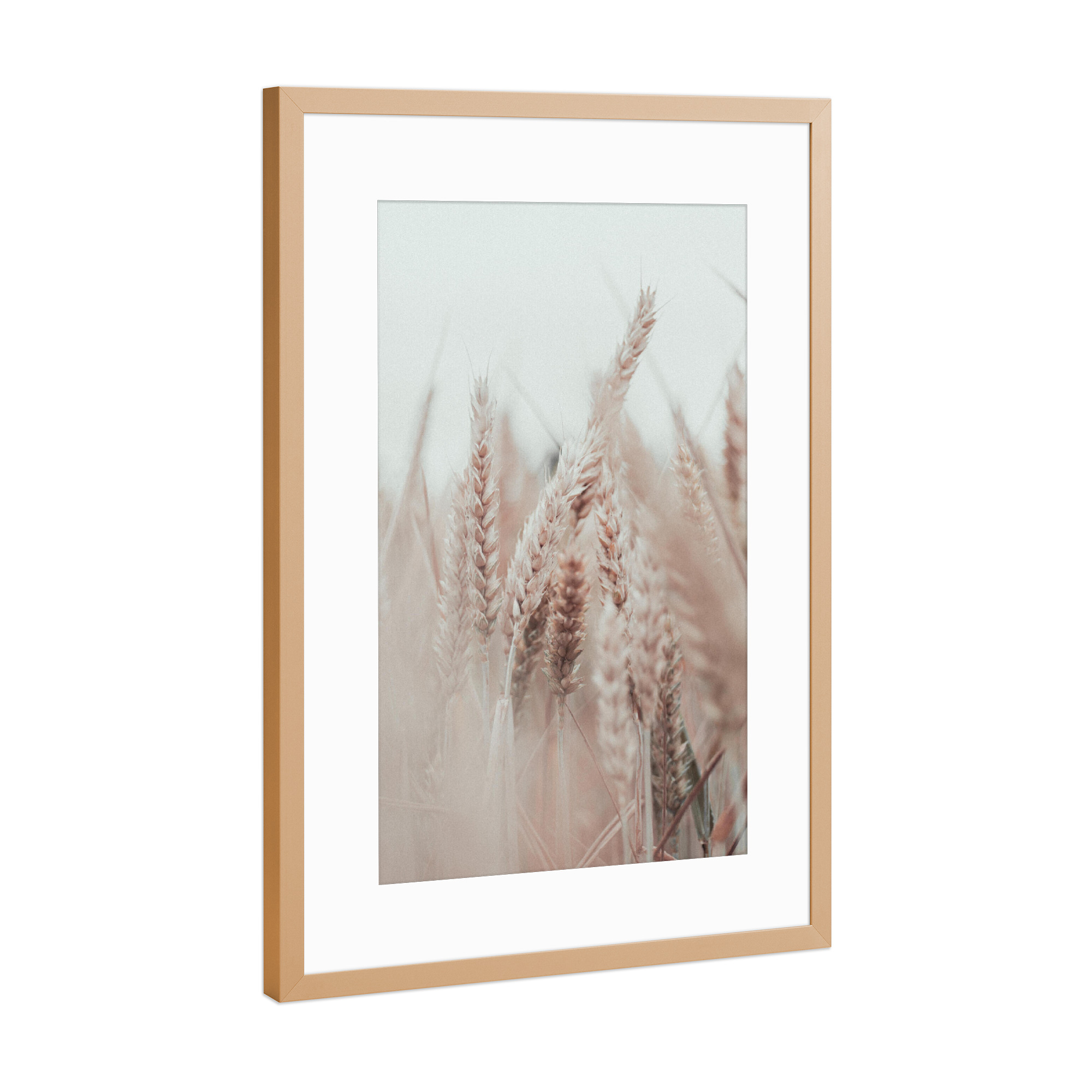 Poster mit Rahmen Kupfer "Gräser Boho creme" artboxONE - Natur,Floral,Liebe