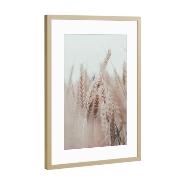 Poster mit Rahmen Gold "Gräser Boho creme" artboxONE - Natur,Floral,Liebe